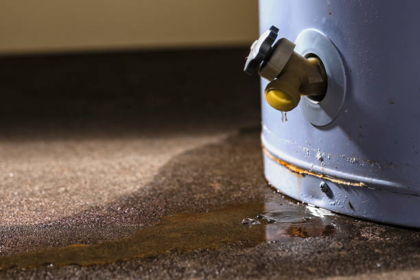Best Commercial water damage restoration  in Winnetka, IL