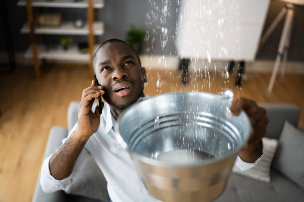 Best Carpet water damage restoration  in Winnetka, IL