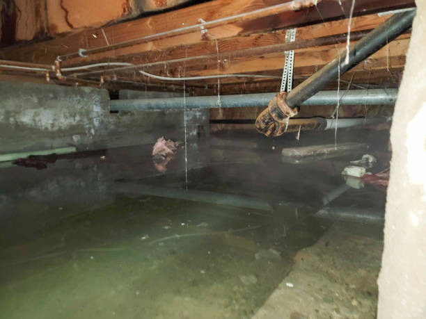 Best Flooded house restoration  in Winnetka, IL