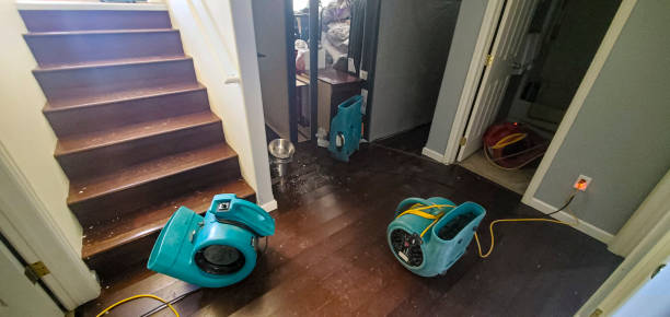 Best Basement water damage restoration  in Winnetka, IL