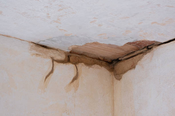 Best Flood damage cleanup  in Winnetka, IL