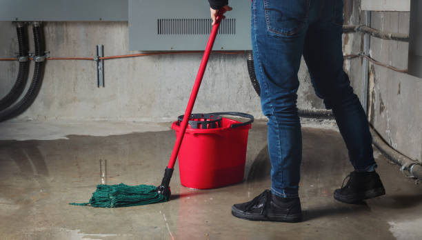Best Water damage restoration insurance claims  in Winnetka, IL