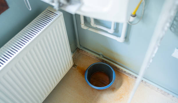 Best Water damage cleanup near me  in Winnetka, IL