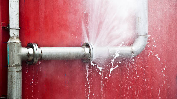 Best Local water damage restoration  in Winnetka, IL